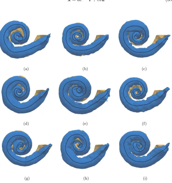 Figure 3.12: Nine ST centerlines overlaid over their corresponding three-dimensional segmented cochleae.