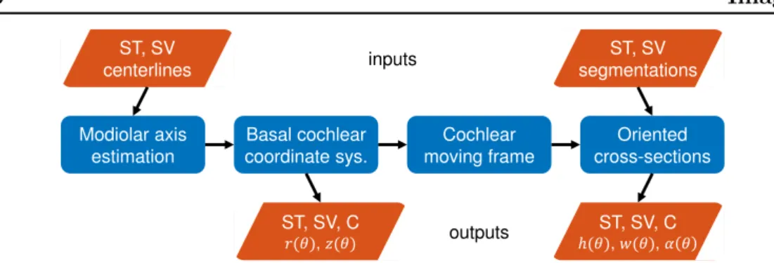 Figure 3.14: Flowchart of the shape parameterization. The centerline is derived in its radial r(θ) and longitudinal z(θ) components in a cylindrical coordinate system called BCCS