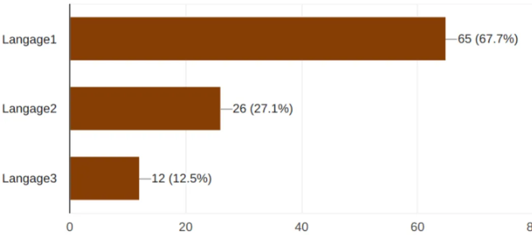 Figure 3.11 – Choix des formats textuels Question sur le format graphique