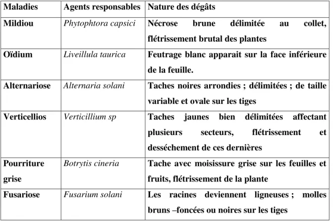 Tableau 2  –  Différentes maladies cryptogamiques du poivron  Maladies  Agents responsables  Nature des dégâts 