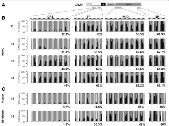 Fig. 3 DNA methylation analysis in peripheral blood and tissues. a Four regions within D4Z4 were amplified by PCR after sodium bisulfite treatment of genomic DNA