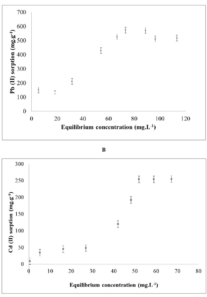 Figure 5: Sigmoid isotherm plot for the adsorption onto birnessite thin film (HB.3) of   A- Pb (II) and B- Cd (II)  
