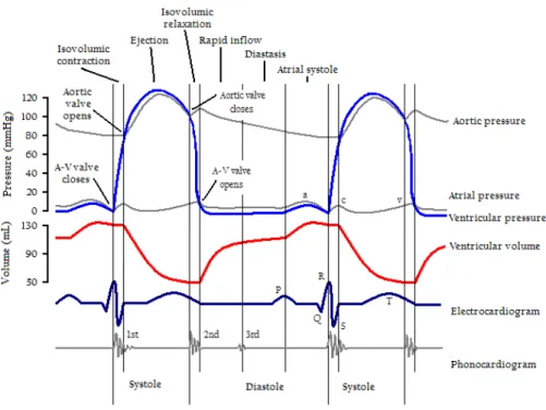 Figure 1.3: Two complete cardiac cycles, together with their main events, as well as their corresponding pressure and volume curves