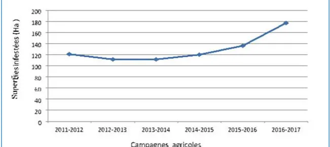 Figure 02 : Évolution des superficies infestées par le ver blanc dans la wilaya de  Mostaganem (Bousnane et Ghani 2017) 