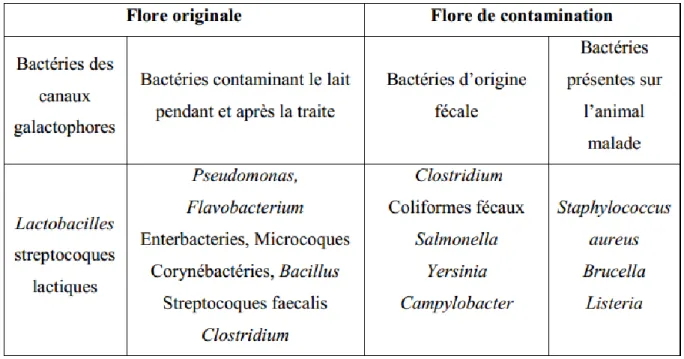 Tableau 08:Flore microbienne du lait (Leyral et Vierling, 2001). 