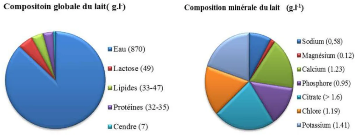 Figure 03 : Composition globale du lait de vache avec le détail de sa composition minérale