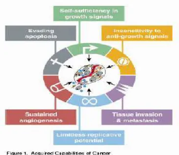 Figure n°1 :Propriétés  des cellules cancéreuses