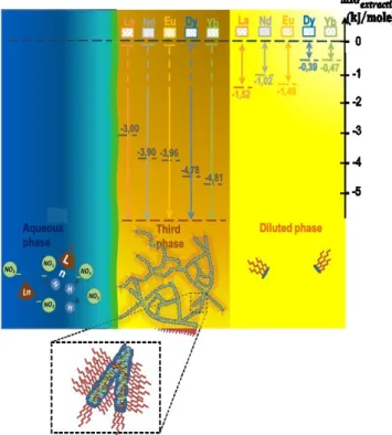 Figure  6b  illustrates  the  case  where  the  acid  concentration  is  equal to 0.3 M but for molar fractions of DMDOHEMA strictly  greater  than  0.5  and  where  a  concentrated  “third  phase”  is  formed which coexists with a diluted organic solution