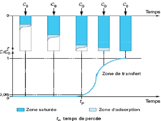 Figure 2. Courbe de percée et principe de la saturation de CAG (fixe)                                                              [49] 
