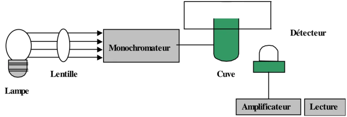 Figure 8. Spectrophotomètre simplifié  III.2.1.5. Loi d’absorption 