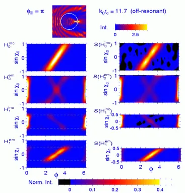 FIG. 3: Same as Fig. 2, but for illumination at a resonance frequency.