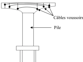 Fig I-2 : l’assurance de la stabilité de la bi-console par des câbles de  précontrainte 