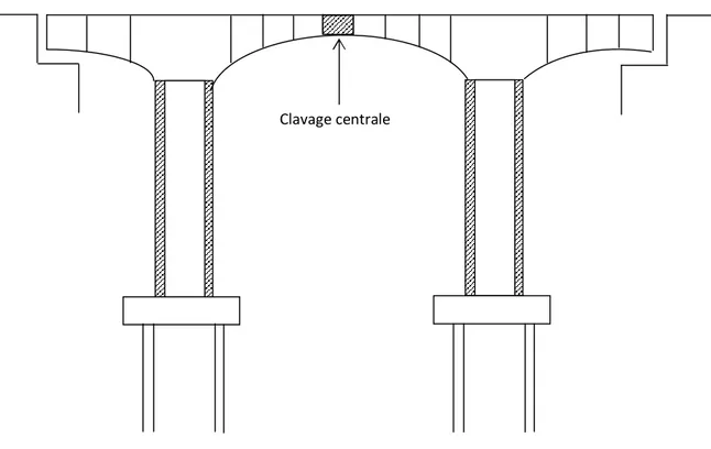 Fig I-27 : schéma de clavage central  