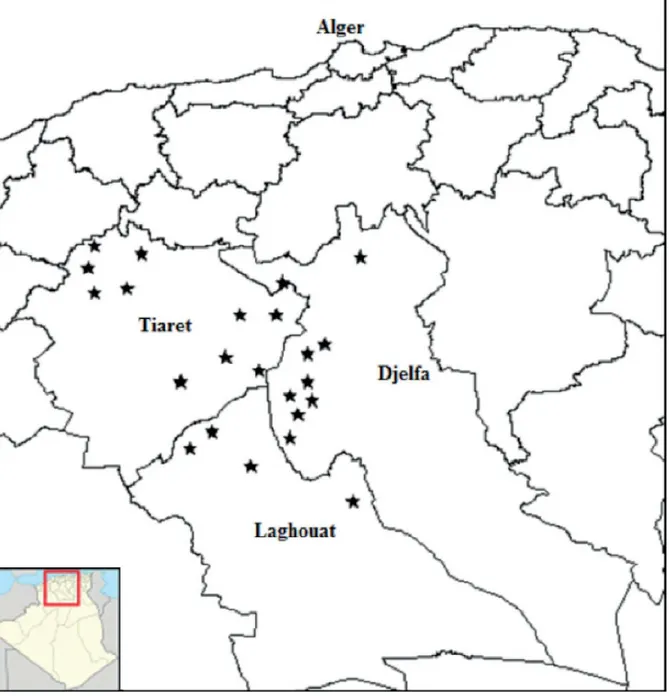 Figure 1 : Localisation des cheptels échantillonnés en Algérie ; l’échantillonnage inclut le  berceau de la race ovine Rembi (© A