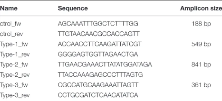TABLE 1 | Oligonucleotides used in this study.
