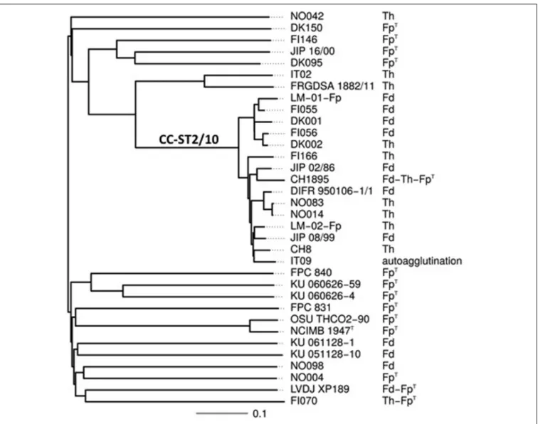 FIGURE 1 | Serotypes and evolutionary relationships between the 34 F. psychrophilum strains