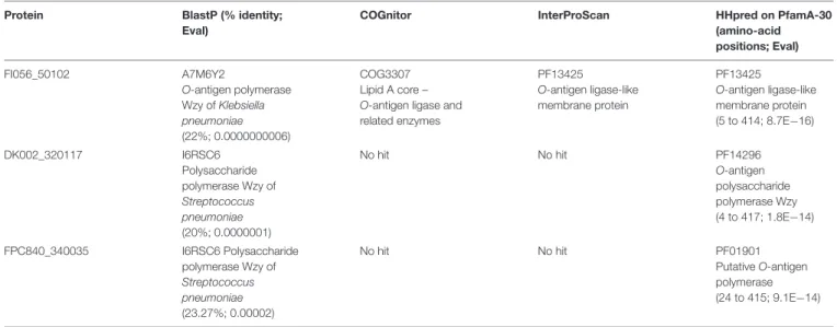 TABLE 3 | In silico prediction of protein function.