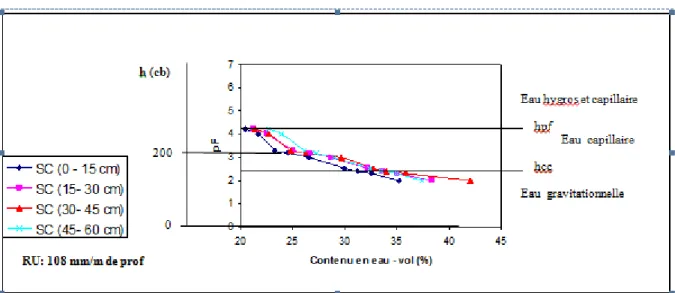 Figure 9- Relation entre tension et contenu en eau du sol du site expérimental à différentes profondeurs 