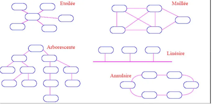 Figure 02 : quelques topologies d’interconnexion [31]. 
