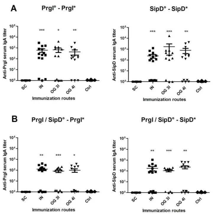 Fig 3. IgA titers of mice immunized with PrgI or SipD (A) or PrgI/SipD (B). Serum IgA antibodies specific for PrgI (left) and SipD (right) were measured by sandwich ELISA 2 weeks after the last immunization as described in Materials and Methods