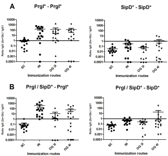 Fig 4. IgG (2a +2b) / IgG 1 ratio after PrgI (left) and SipD (right) immunizations. Mice immunized with PrgI or SipD separately are represented on panel A and those receiving both PrgI and SipD on panel B