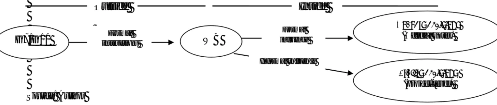 Figure 1. Channels of the G7 and G10’s influence over the WB 