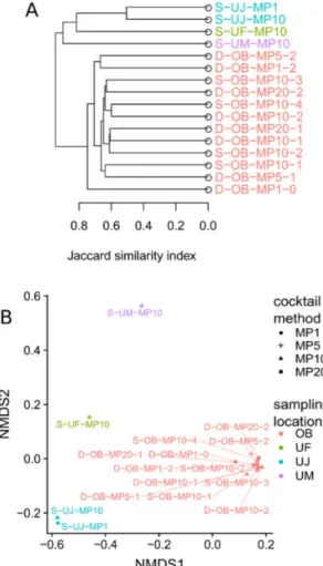 Figure 3. Jaccard Dissimilarity among replicated experiments and different samples. (A) Hierarchical clustering analysis of all Mimiviridae libraries