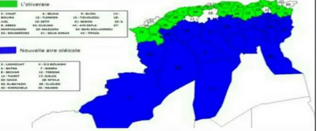 Fig. 2 : Carte oléicole d’Algérie (I.T.A.F 2008)  1.3.1. Les variétés de l’olivier en Algérie : 