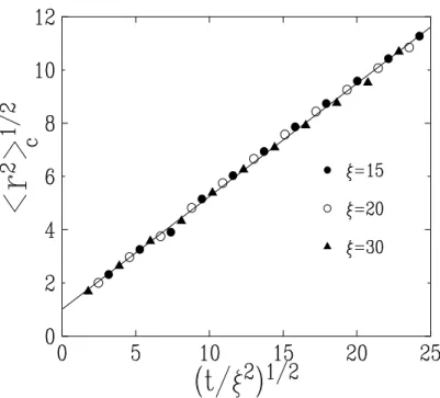 Figure 7: Plot of the displacement width hr 2 i 1/2 c in the coarsening regime with asymmetric dynamics, against (t/ξ 2 ) 1/2 