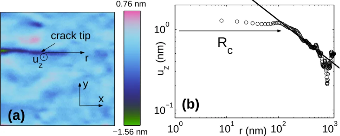 Figure 6. Measurement of the extension of process zone. (a) 1 × 1 µm AFM topographical frame of the vicinity of the crack tip