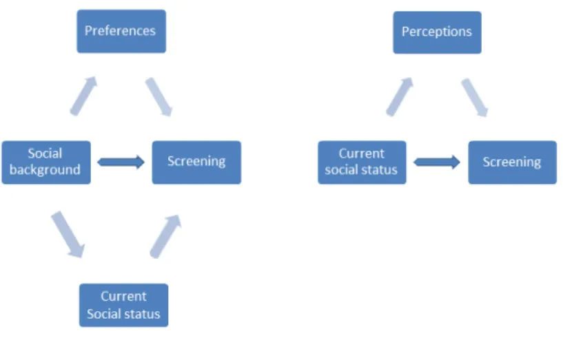 Figure 1: Relationships between social inequalities, preferences and perceptions
