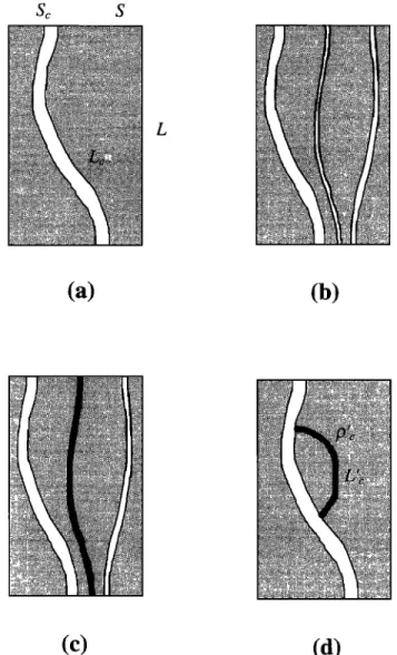 Figure 1.  Various flow patterns in capillary tubes in a non-  conducting  matrix: (a) one single capillary (equivalent  chan-  nel), (b) distribution  of capillary tubes of various diameters  and tortuosities,  (c) distribution  of capillaries  including 