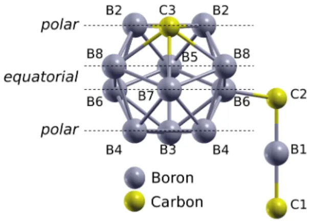 Figure 1: The B 11 C p CBC structure, atoms are divided in 4 groups : polar (C3, B2, B3, B4), equatorial (B5, B6, B7, B8), chain end (C1, C2) and chain center (B1).