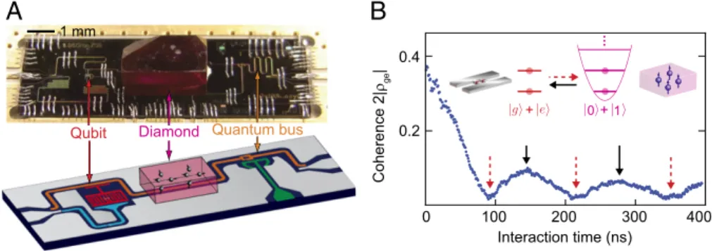 Fig. 2. Spin-ensemble quantum memory. (A) Photograph (Upper) and schematic drawing (Lower) of the hybrid quantum circuit realized in ref