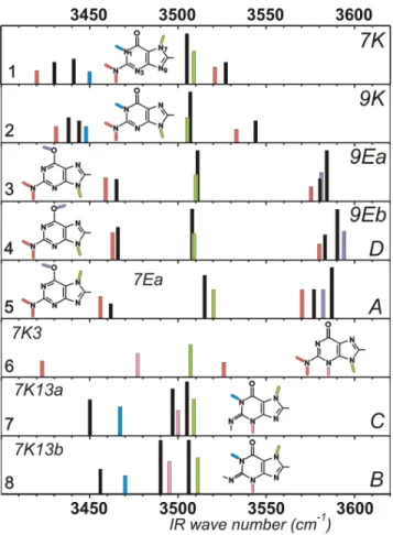 Figure 2. Theoretical IR spectra (B3LYP/6-31+G(d) harmonic frequencies  of the NH/OH stretches) of the 8 most stable forms of Chart 1 (color)  compared to the spectra of the seven tautomers of guanine observed  experimentally (black)