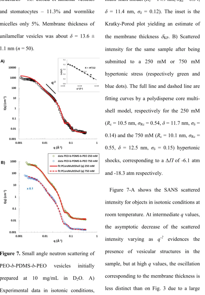 Figure 7. Small angle neutron scattering of  PEO-b-PDMS-b-PEO vesicles initially  prepared at 10 mg/mL in D 2 O