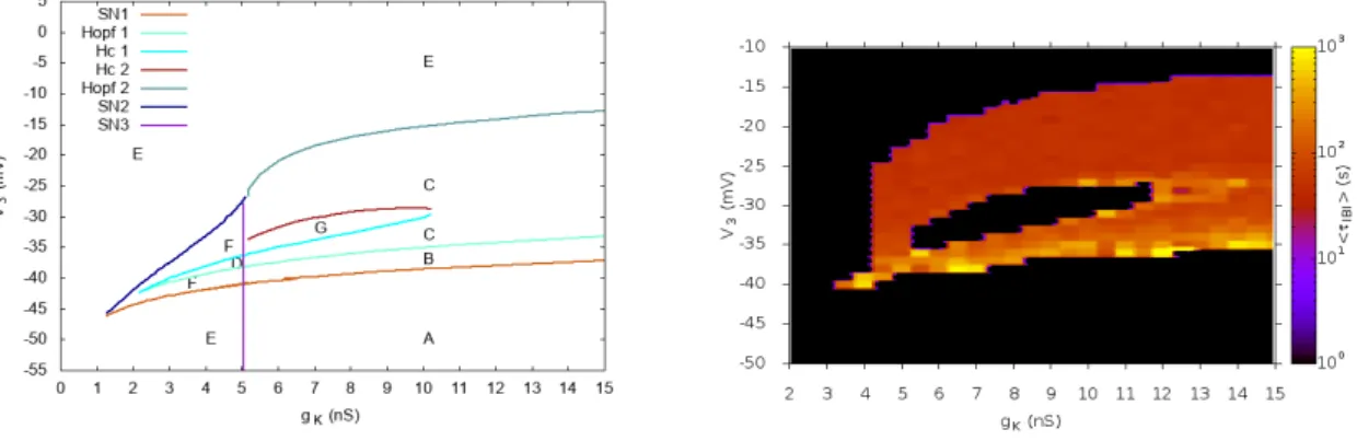 Figure 2.12: Bifurcation diagram and heat map of ⌧ IBI in the plane V 3 − g K . Left.