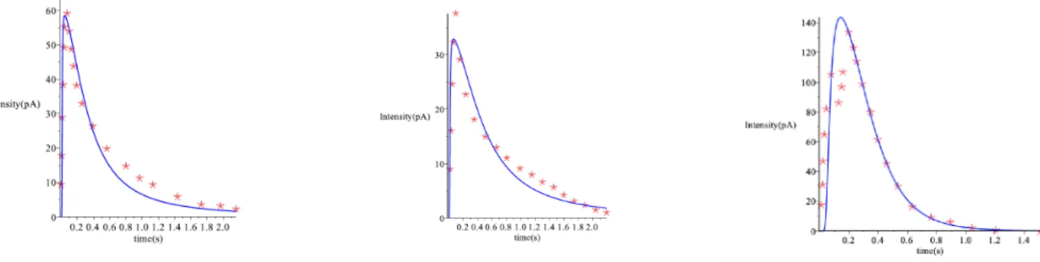 Figure 3.3: Fiting the experimental curves of the cholinergic current temporal pro- pro-file