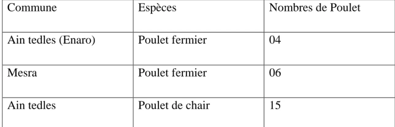 Tableau 1 : Lieux d’échantillonnage et filières aviaires. 