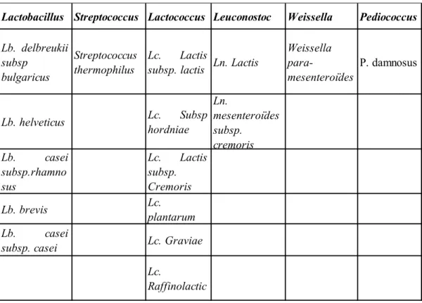 Tableau 9 : Souches lactiques de la race Kabyle (Badiset al., 2005) 