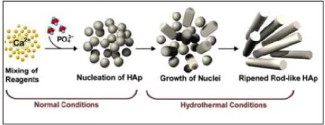 Figure 3. Synthèse de l’hydroxyapatite par méthode hydrothermale (Sadat-Shojai et al., 2013)