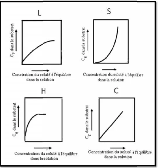 Figure 8. Classification des isothermes d’adsorption (Gil et al., 1974)