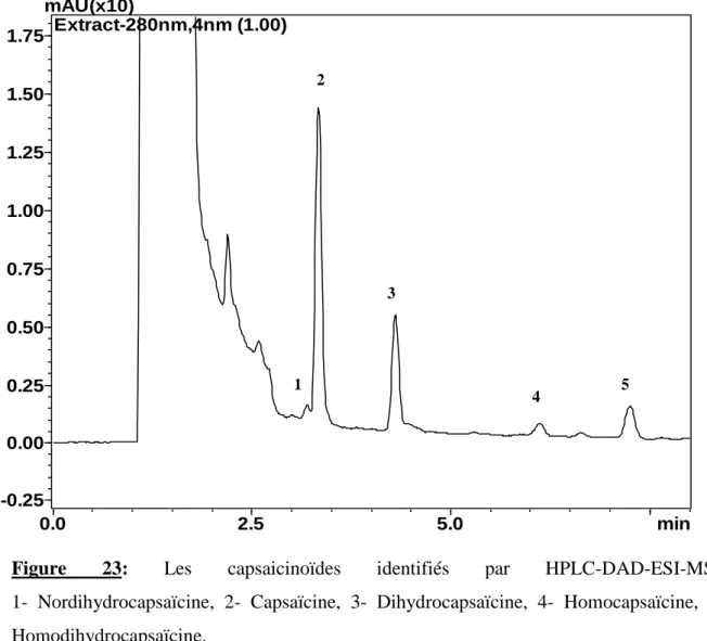 Figure  23:  Les  capsaicinoïdes  identifiés  par  HPLC-DAD-ESI-MS :                                    1-  Nordihydrocapsaïcine,  2-  Capsaïcine,  3-  Dihydrocapsaïcine,  4-  Homocapsaïcine,  5- 