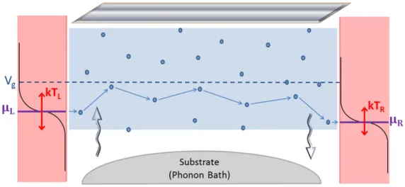 Figure 2. Variable Range Hopping (VRH) transport for a disordered nanowire in a FET configuration: Two ohmic contacts are connected by a 1D disordered chain of length L where the electron states are localised