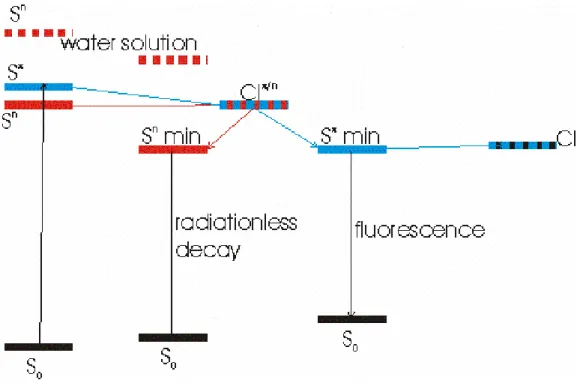 Figure 5. Schematic picture of the most important processes involving the electronically excited states  of 5FU in acetonitrile solution