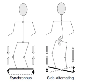 Figure 3.6   Illustration  of  the  vertical  synchronous  and  the  side-alternating  whole-body  vibration platform types
