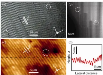 Fig.  1  Arrays  of  parallel  linear  domains  of  SmA  8CB  on  mica.  The  domain axis, y, is perpendicular to the direction x of planar anchoring