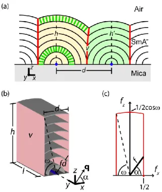 Fig.  2  (a)  Model  array  of  cylindrical  domains  with  disclination  centres  (blue dots) tangent to the substrate, separated by curvature walls  v