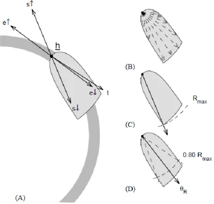 Figure 8 : Représentation schématique du rapport de l’effet mécanique sur le coût  musculosquelettique lors de la propulsion en Fauteuil Roulant Manuel