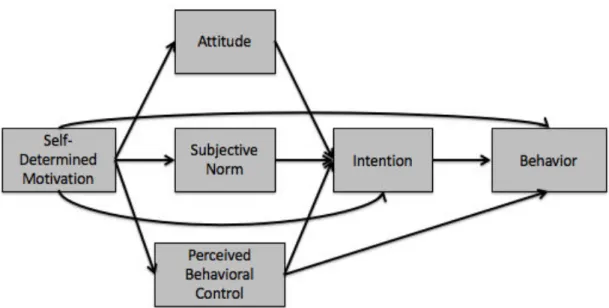 Figure 1. The TCM of Hagger and Chatzisarantis (2009) (3). 